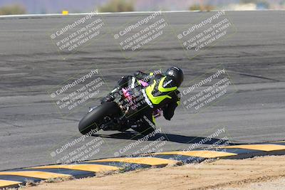 media/Feb-04-2024-SoCal Trackdays (Sun) [[91d6515b1d]]/4-Bowl Backside (11am)/